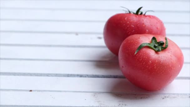 Rijpe Tomaten Met Waterdruppeltjes — Stockvideo