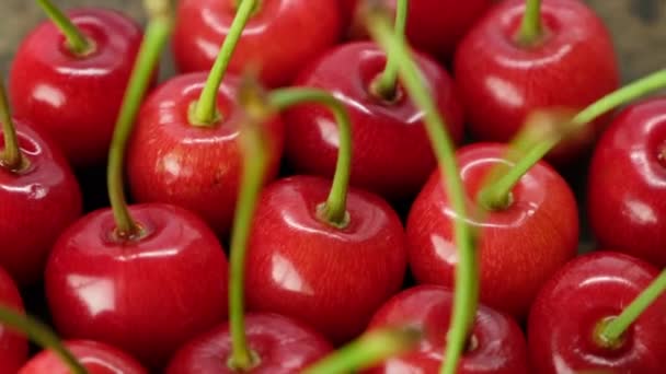 Cerises Fraîches Mûres Sur Fond Bois — Video