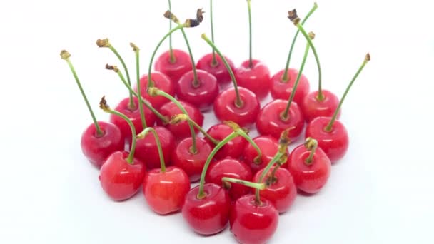 Fresh Ripe Cherries White Background — Stock Video