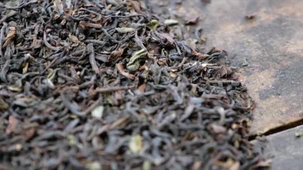 Darjeeling Folhas Chá Seco — Vídeo de Stock