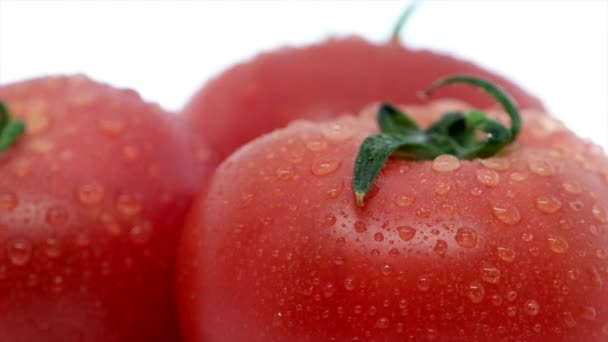 Ripe Tomatoes Water Droplets — Stock Video