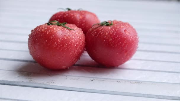 Reife Tomaten Mit Wassertropfen — Stockvideo