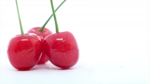 Cerises Douces Saines Sur Fond Blanc Fruits Frais — Video