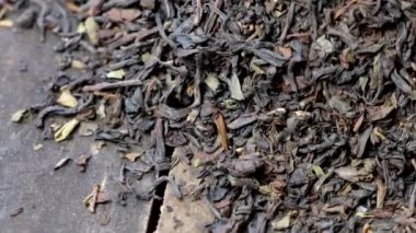 Darjeeling kuru çay yaprakları 
