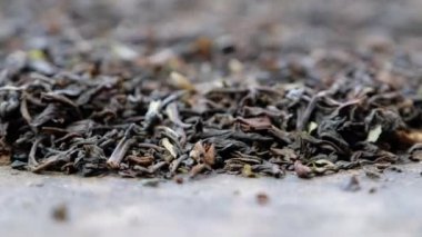 Darjeeling kuru çay yaprakları 