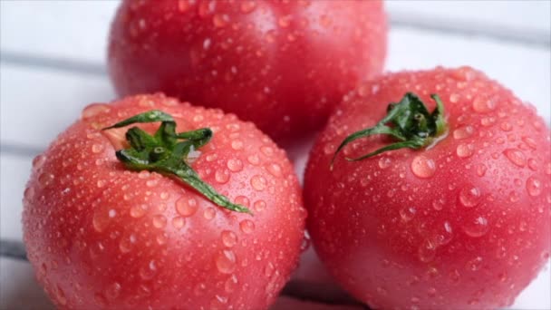 Rijpe Tomaten Met Waterdruppeltjes — Stockvideo