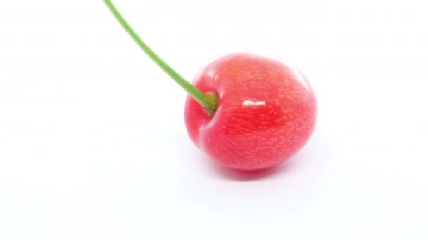 Cherry Fruit White Background — Stock Video