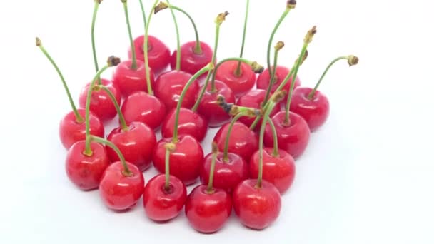Słodkie Wiśnie Zdrowy Białym Tle Świeżych Owoców — Wideo stockowe
