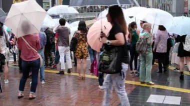 Yaya geçidi geçiş şemsiye grubu