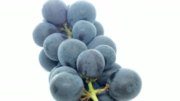Świeże Owoce Winogron Białym Tle — Wideo stockowe