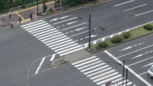 Токио Япония Июля 2019 Года Пешеходы Переходят Улицу — стоковое видео