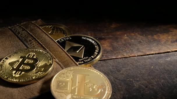 Monedas Criptográficas Populares Con Billetera Cuero Hierba Verde — Vídeos de Stock