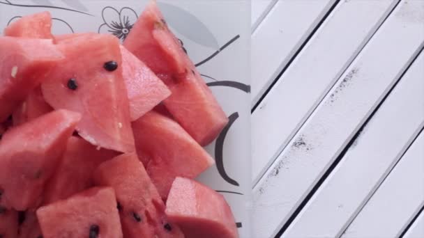 Wassermelonenstückchen Auf Teller — Stockvideo