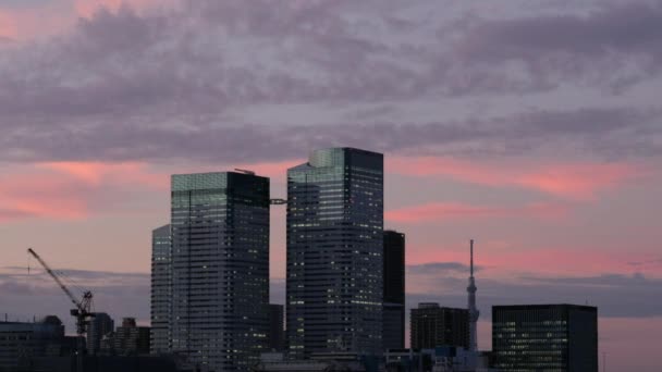 Vue Panoramique Paysage Urbain Tokyo Coucher Soleil — Video