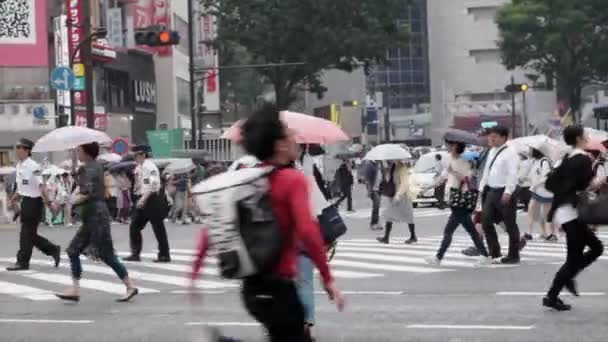 横断歩道を渡る傘を持つ人々 — ストック動画