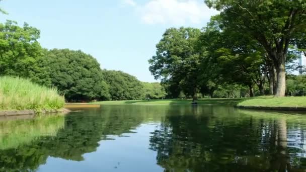 Parc avec étang et arbres verts 