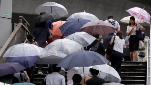 Menschen mit Regenschirm überqueren Fußgängerüberweg — Stockvideo