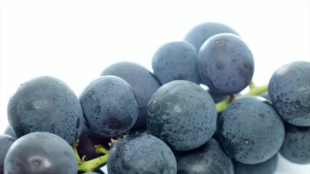 Fruta Uva Fresca Sobre Fondo Blanco — Vídeo de stock