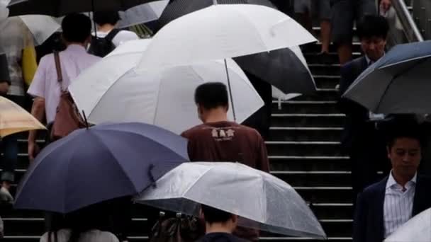 Pessoas com guarda-chuva cruzando Crosswalk — Vídeo de Stock