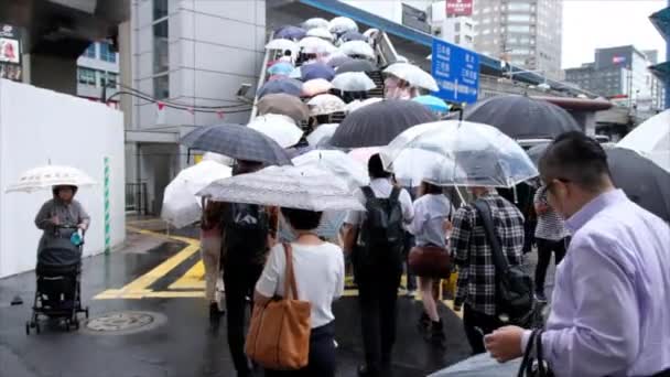 横断歩道を渡る傘を持つ人々 — ストック動画