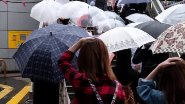 Menschen mit Regenschirm überqueren Fußgängerüberweg — Stockvideo