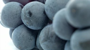 Taze üzüm meyve beyaz arka plan üzerinde 