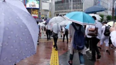 Yaya geçidi geçiş şemsiye grubu