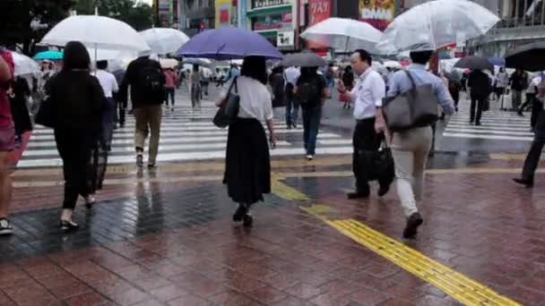 横断歩道を渡る傘を持つ人々 — ストック動画