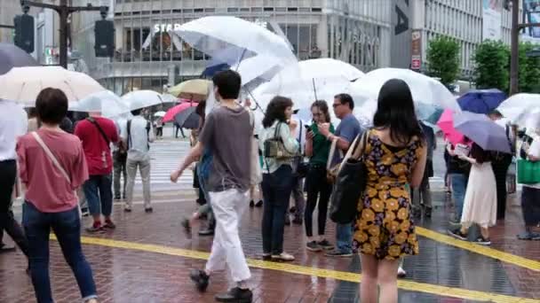 横断歩道を渡る傘を持つ人々 — ストック動画