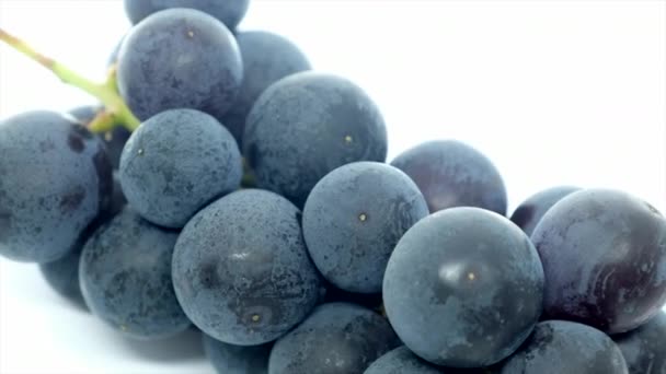 Fruta Uva Fresca Sobre Fundo Branco — Vídeo de Stock