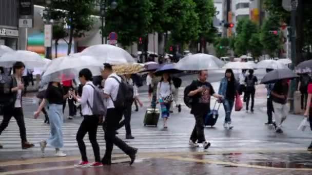 横断歩道を渡る傘を持つ人々 — ストック動画