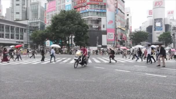 Persone con ombrello Crossing Crosswalk — Video Stock