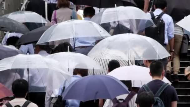 Menschen mit Regenschirm überqueren Fußgängerüberweg — Stockvideo