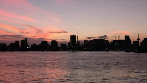 Zobacz Panoramę Tokio Panoramę Miasta Zachodzie Słońca — Wideo stockowe