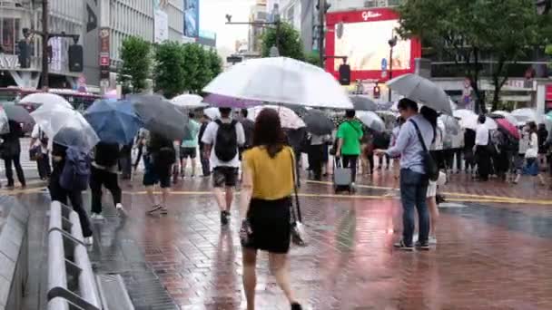 横断歩道を渡る傘を持つ人々 — ストック動画