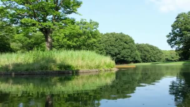 Parc avec étang et arbres verts 