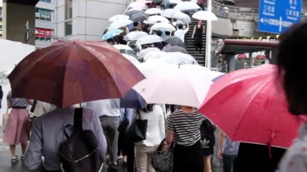 Menschen mit Regenschirm überqueren Fußgängerüberweg — Stockvideo