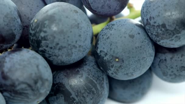 Fruta Uva Fresca Sobre Fondo Blanco — Vídeo de stock