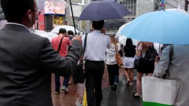Yaya geçidi geçiş şemsiye grubu — Stok video