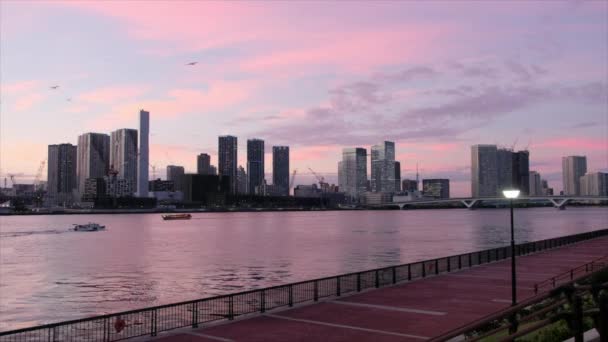 Skyline Kilátás Nyílik Tokió Városkép Naplementekor — Stock videók