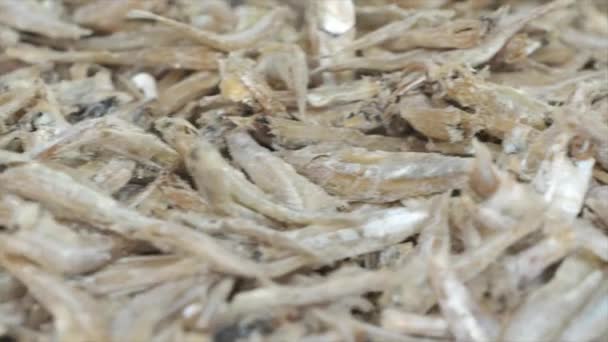 Close View Dried Anchovies Market — Stock Video