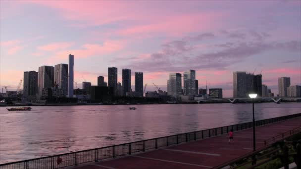 Skyline View Tokyo Cityscape Sunset — Stock Video
