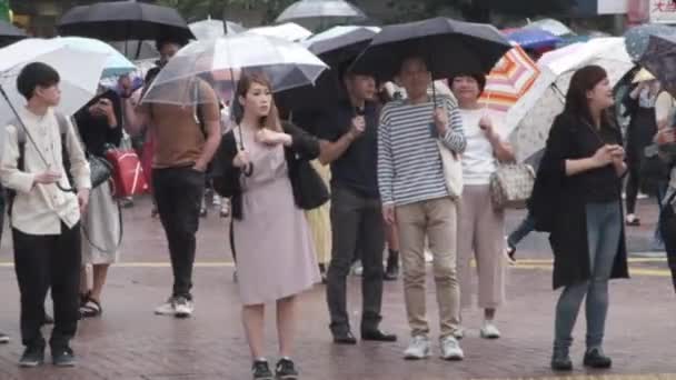 Lidé s deštníkem přes přechod pro chodce — Stock video