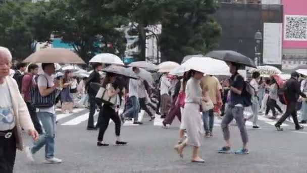 穿越人行横道的雨伞人 — 图库视频影像