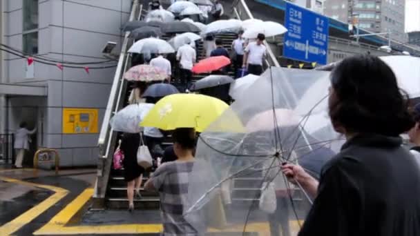 Gente con paraguas cruzando el paso de peatones — Vídeos de Stock
