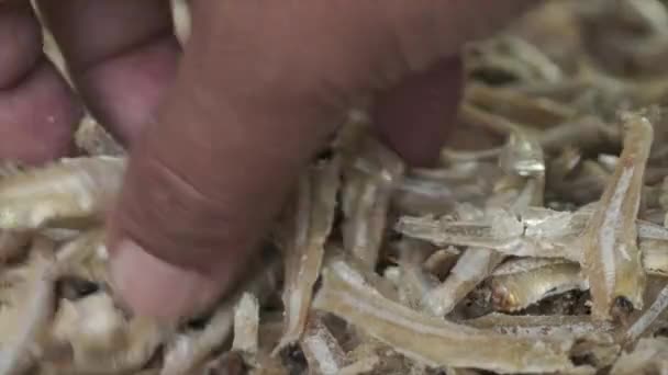 Vue Rapprochée Des Anchois Séchés Intérieur Marché — Video