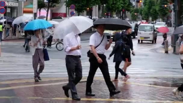 Yaya geçidi geçiş şemsiye grubu — Stok video