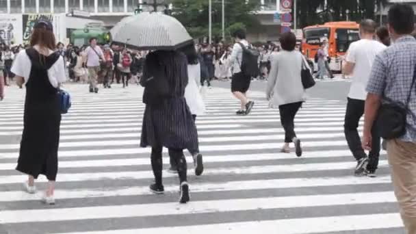 Tokyo Japan Juni 2018 Menschen Überqueren Die Straße Shibuya — Stockvideo