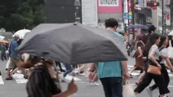 横断歩道を渡る傘を持つ人々 — ストック動画