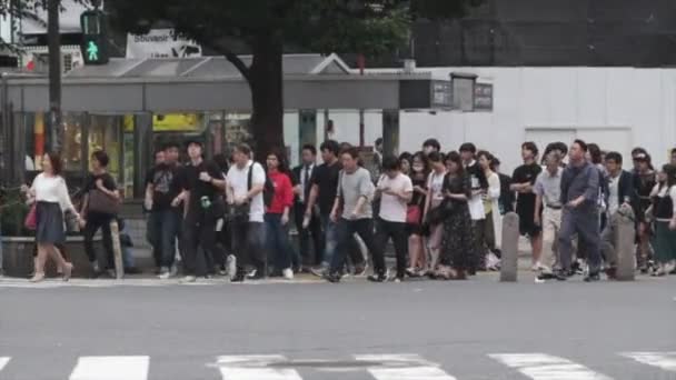 日本东京 2018年6月23日 在涩谷过马路的人们 — 图库视频影像